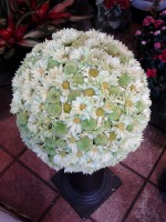 /album/galleria-foto-bouquet/a2011-11-10-12-10-41-jpg/